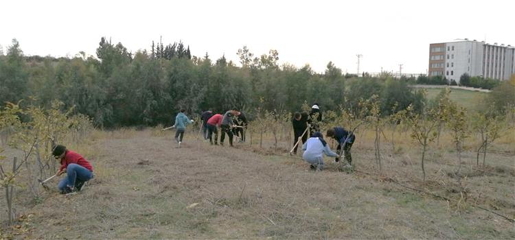 Organik Trım İşletmeciliği Bölümü Arazi Uygulamaları