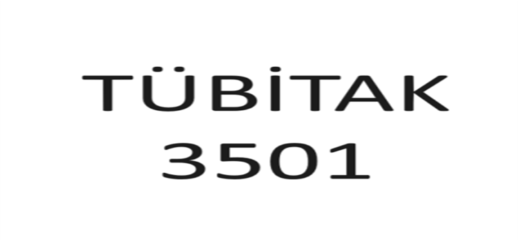 Doktoran bittiyse, TÜBİTAK 3501 Nedir?