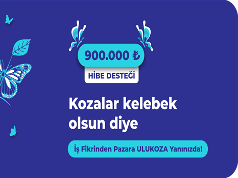 Ulukoza Programı nedir?