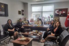 Sağlık Bilimleri Fakültesi'nden İş Yeri ve Meslek Örgütü Ziyareti